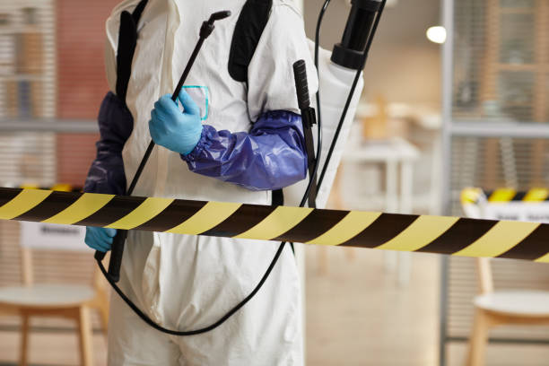 Professional Sewage Cleanup technician working in Delta, OH